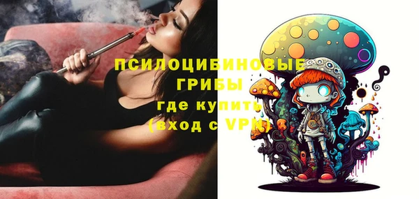 Альфа ПВП Аркадак
