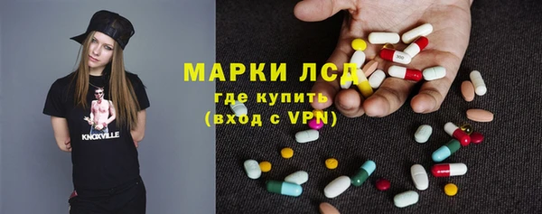 индика Новозыбков