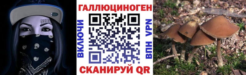 Галлюциногенные грибы ЛСД  Сосновка 